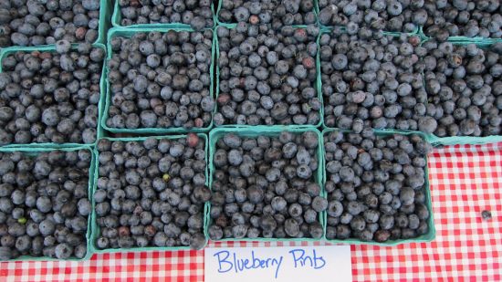 mick klug blueberries 16x9