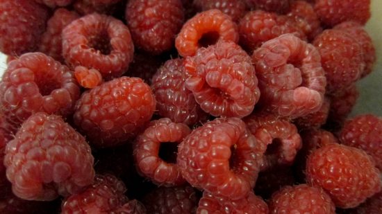 ss ingredients raspberries low line 16x9